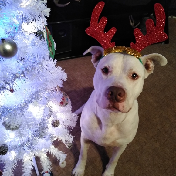 Meet your Posher, Rachael - Picture 2 of 16